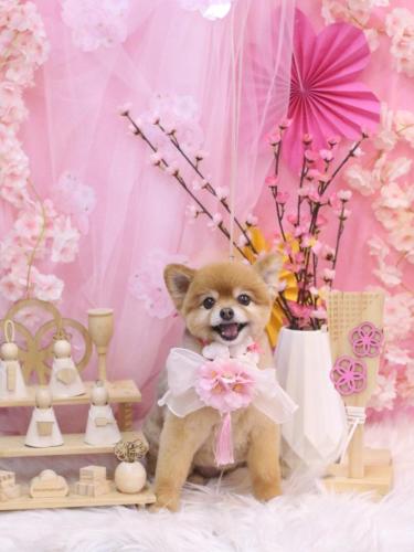 20250327のんちゃん